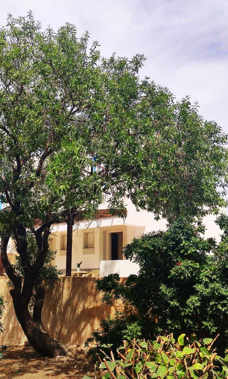 Anthelia Apartments Μυρτιές Εξωτερικό φωτογραφία
